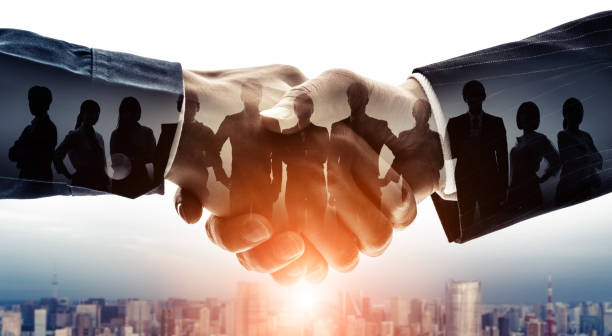 Buyer Consultation & Strategy